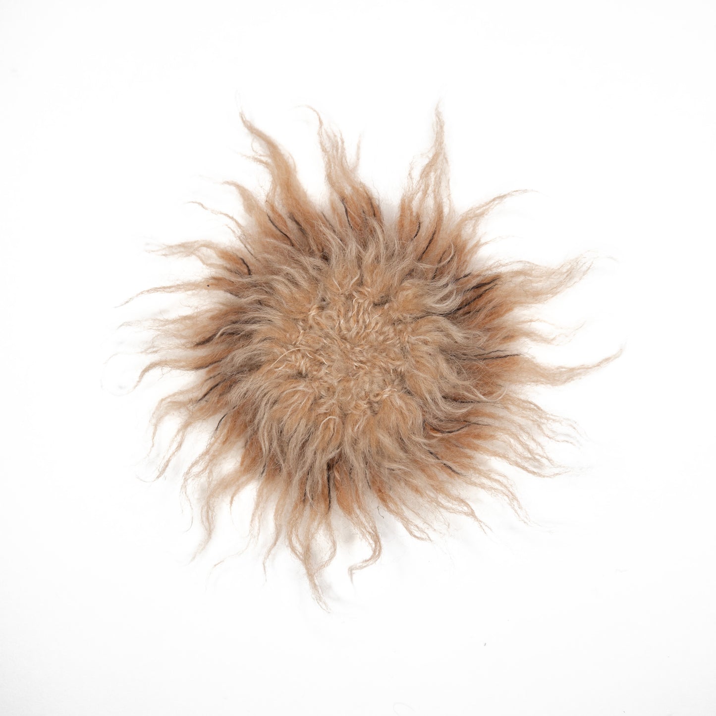 
                  
                    Passion Flower Brooch
                  
                