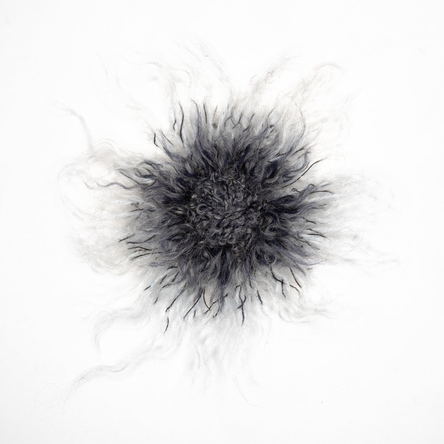
                  
                    Passion Flower Brooch
                  
                